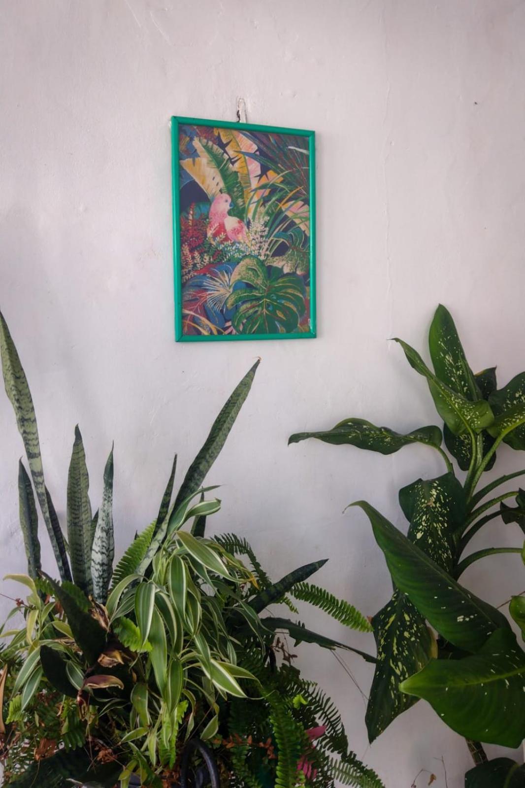 Hostel Residence Girassol Belém Zewnętrze zdjęcie
